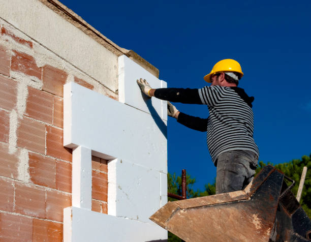Best Energy Efficiency Solutions in Colona, IL