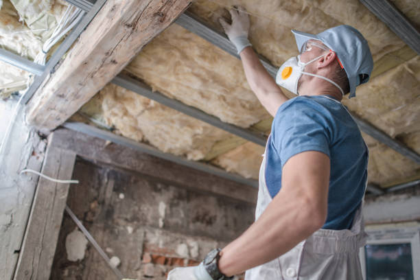 Best Insulation Installation Services in Colona, IL