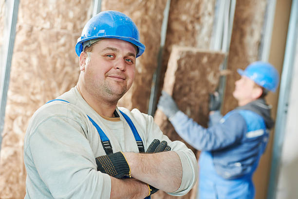 Colona, IL Insulation Contractor Pros