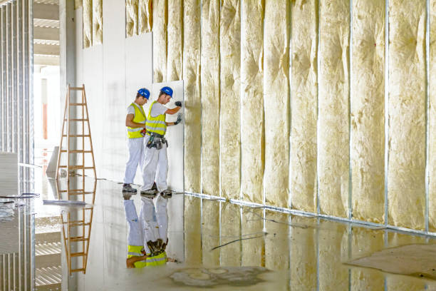 Best Insulation for Specific Applications in Colona, IL
